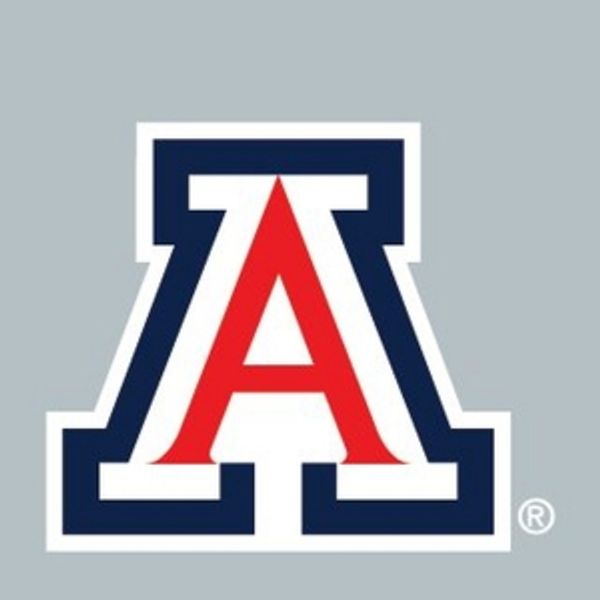 University of Arizona School of Theatre, Film & Television to Present I DREAM IN WIDE Photo
