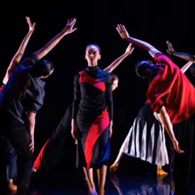 Winifred Haun & Dancers Will Perform HOW THE LIGHT GETS IN: Dances For These Times