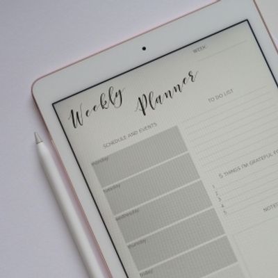 Student Blog: My Expectations For This Semester