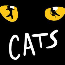 Review: CATS at Broadway Palm