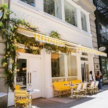 NEW AND NOTEWORTHY in NYC