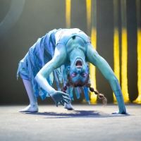 Review: Synetic's lush A MIDSUMMER NIGHT'S DREAM sparkles and pops at Synetic Theater