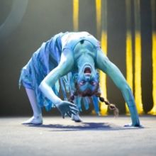 Review: Synetic's lush A MIDSUMMER NIGHT'S DREAM sparkles and pops at Synetic Theater