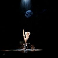 BWW Review: CATS at Ronacher