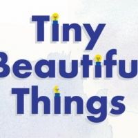 OpenStage Theatre & Company's TINY BEAUTIFUL THINGS Opens In 2 Weeks