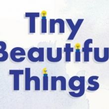 OpenStage Theatre & Company's TINY BEAUTIFUL THINGS Opens In 2 Weeks
