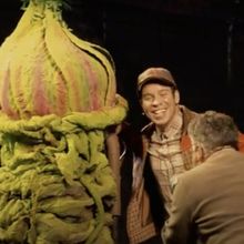 Photos & Video: Inside Opening Night of LITTLE SHOP OF HORRORS at The Muny