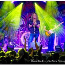 KASHMIR: The Spirit of Led Zeppelin Live is Coming to The Newton Theatre