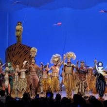 EL REY LEÓN regresa hoy al Lope de Vega