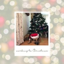 BWW Blog: Working to Christmas