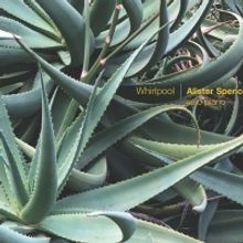 Alister Spence 'Whirlpool' Out Friday, July 24