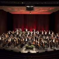 The Orlando Philharmonic Orchestra Names Melody Lynch as New President