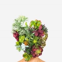 OZ Arts Presents THE TRIANGLE From New Dialect