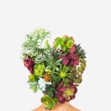 OZ Arts Presents THE TRIANGLE From New Dialect