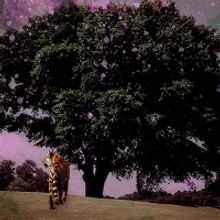 THE MONTH OF MODERNS 2021 to be Presented by The Crossing and the Annenberg Center