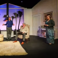 BWW Review: OTHER DESERT CITIES at Tallgrass Theatre Company: A Welcome Journey to a…