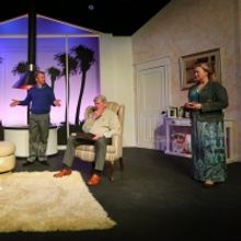 BWW Review: OTHER DESERT CITIES at Tallgrass Theatre Company: A Welcome Journey to a 
