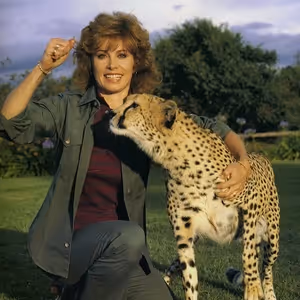 Stefanie Powers And Patrick Wayne Will Reunite For One-Night Performance Of LOVE…