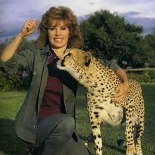 Stefanie Powers And Patrick Wayne Will Reunite For One-Night Performance Of LOVE LETT