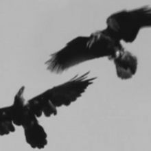 BWW Review: LA Opera's DIGITAL SHORT DEATH Now Streaming