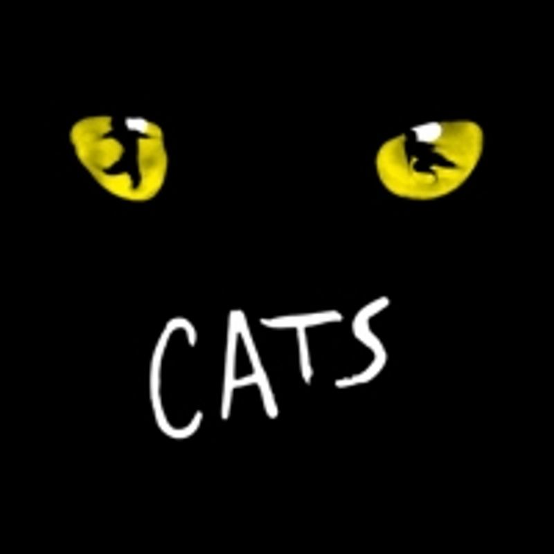 Wake Up With BWW 8/13: DIANA and THE LIGHTNING THIEF Come to Broadway, and More! Image