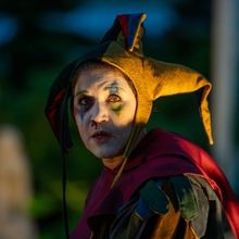 Review: LEAR'S FOOL, Bard in the Botanics