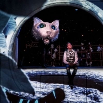 BWW Interview: Executive Artistic Director Cynthia Fleming on Salt Lake Acting Company's 49 &frac34; Season and CLIMBING WITH TIGERS