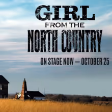 Video: GIRL FROM THE NORTH COUNTRY at Arden Theatre