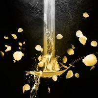 KSU's Theatre and Performance Studies To Present WATER BY THE SPOONFUL