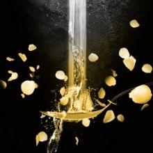 KSU's Theatre and Performance Studies To Present WATER BY THE SPOONFUL