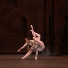 VIDEO: Watch Wedding Pas de Deux from Royal Opera's SLEEPING BEAUTY