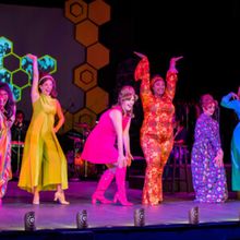 BEEHIVE: THE 60S MUSICAL to Play Delray Beach Playhouse