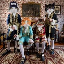 Fantastic Cat Releases New Album 'Now That's What I Call Fantastic Cat'