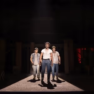 Tickets to THE OUTSIDERS in Chicago on Sale This Week