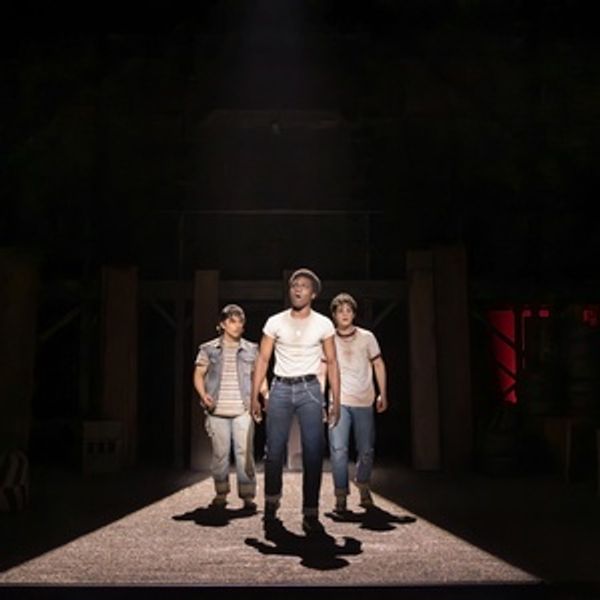 Tickets to THE OUTSIDERS in Chicago on Sale This Week Photo