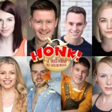 HONK! Will Be Staged Open-Air This Summer in the Grounds of Ely Cathedral