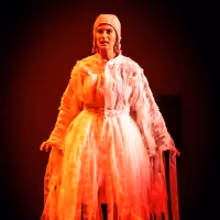 Gulfshore Playhouse and the Naples Philharmonic perform Shakespeare for the entire…