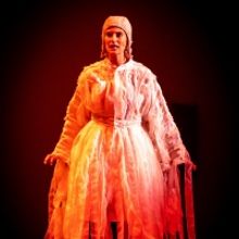 Gulfshore Playhouse and the Naples Philharmonic perform Shakespeare for the entire 11