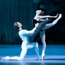 BWW Review: SWAN LAKE, Bolshoi Ballet in Cinema
