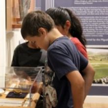 Catalina Island Museum Welcomes Visitors This Summer With An Array Of Cultural Progra