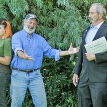 Z Productions to Present CITY MICE at Teatro Paraguas Next Month