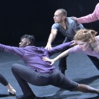 BWW Review: NEW DANCE PARTNERS at Carlsen Center