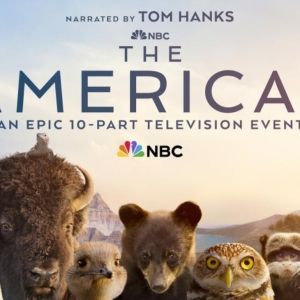 Brandi Carlile Debuts New Song 'Wandering' in NBC's THE AMERICAS