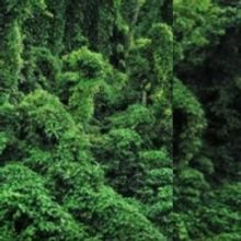 Special Offer: Charlotte d'Amboise, Mark Evans and Alex Newell Star in World Premiere