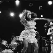 Queen Of Rock Tina Turner Takes Center Stage In Morrison Hotel Gallery's ONE WOMAN…