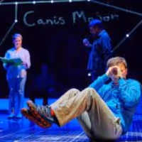 Review: THE CURIOUS INCIDENT OF THE DOG IN THE NIGHT-TIIME at Beck Center For The…