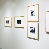El Museo De Arte Moderno Presenta La Exposición Manuel Álvarez Bravo. Vanguardia…