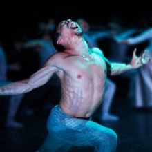 BWW Review: AKRAM KHAN'S CREATURE, Sadler's Wells