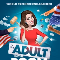 Orlagh Cassidy Will Star as Nancy Pelosi In New Play THE ADULT IN THE ROOM