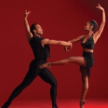 Dance Theatre of Harlem’s 2025 Vision Gala to Honor Darren Walker